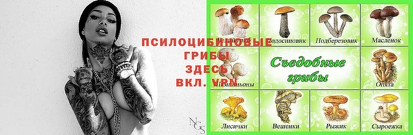 сатива Богородицк
