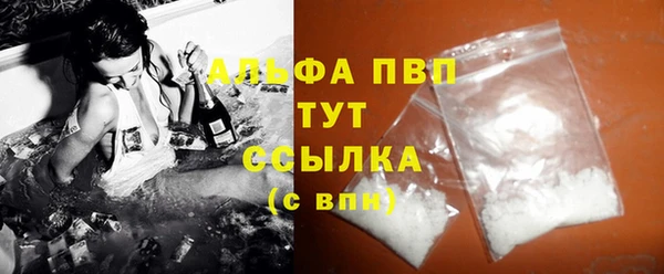 индика Богданович