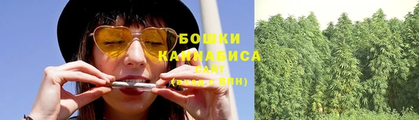 индика Богданович