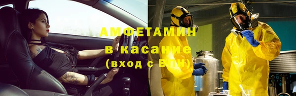 сатива Богородицк
