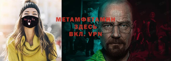 индика Богданович