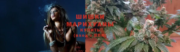дмт Горняк