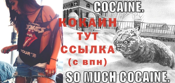 индика Богданович