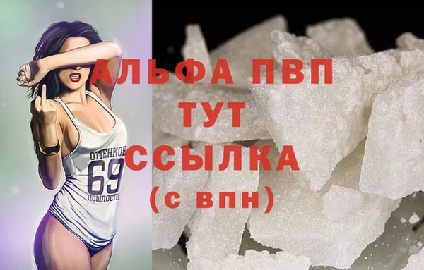 сатива Богородицк