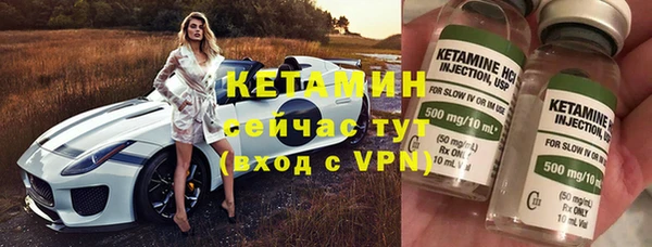 индика Богданович