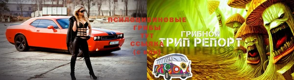 a pvp Богородск