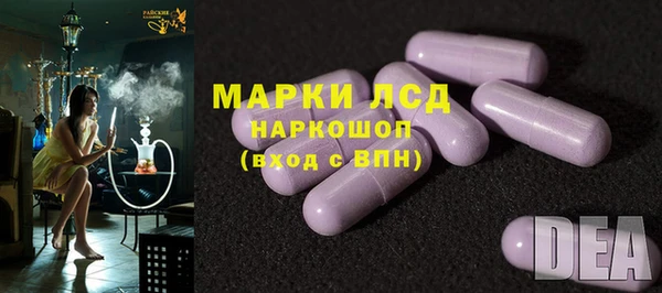 индика Богданович