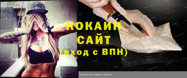 индика Богданович