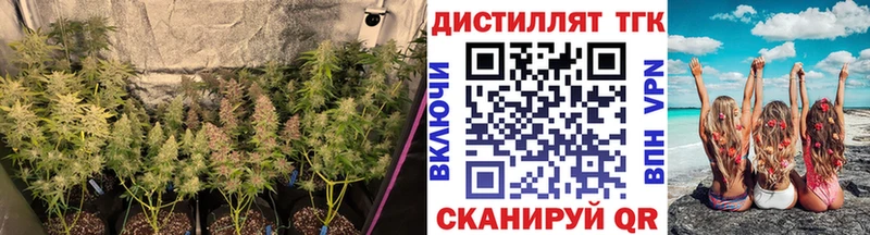 наркошоп  Тольятти  ТГК гашишное масло 