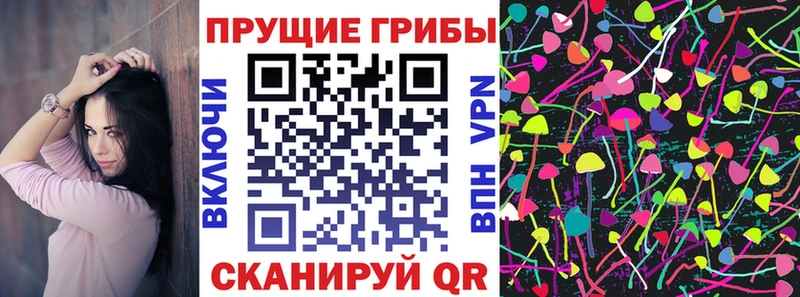 Галлюциногенные грибы Psilocybine cubensis  Тольятти 